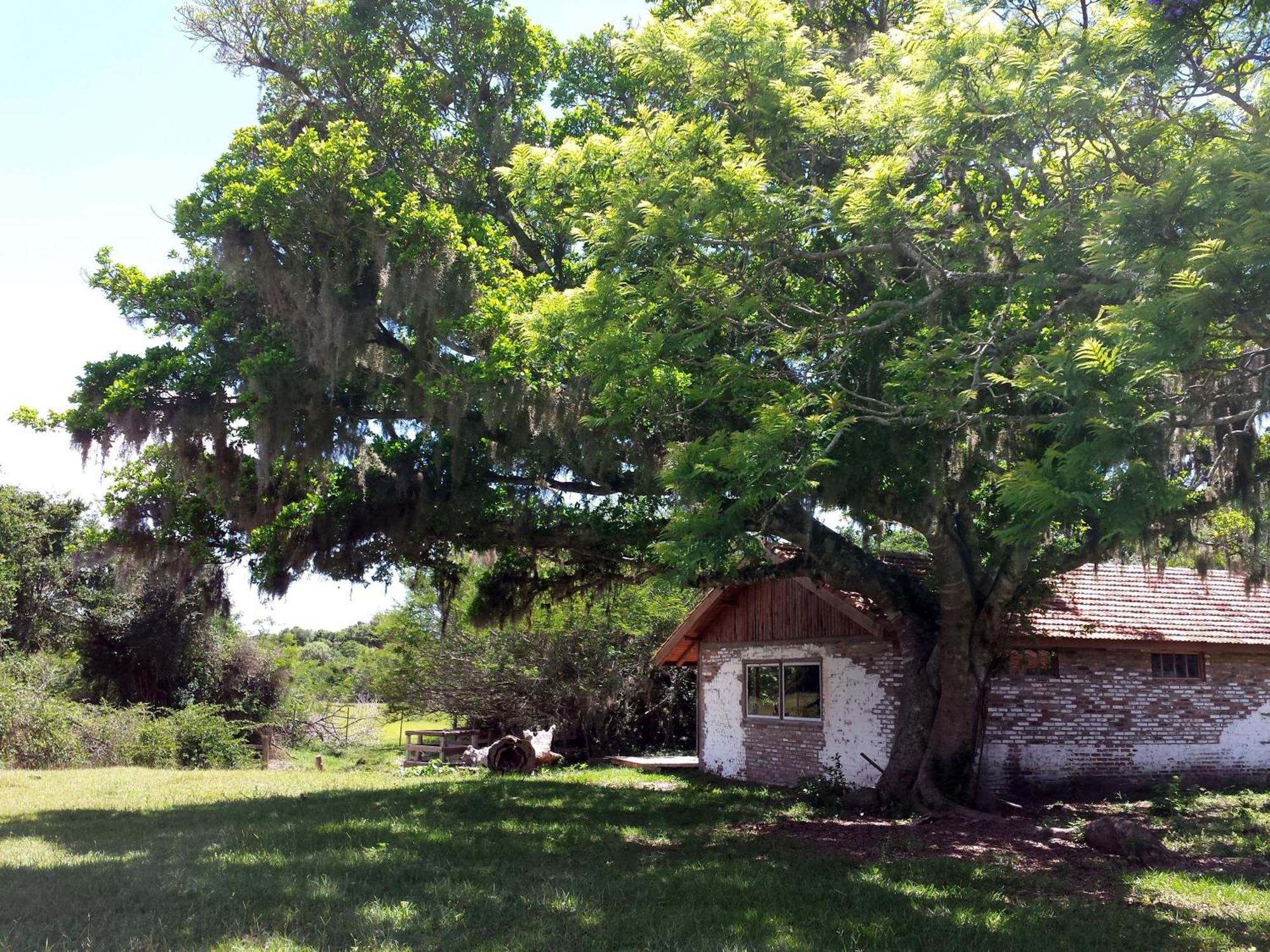 Aldeia Santuario Das Aves Tavares 객실 사진