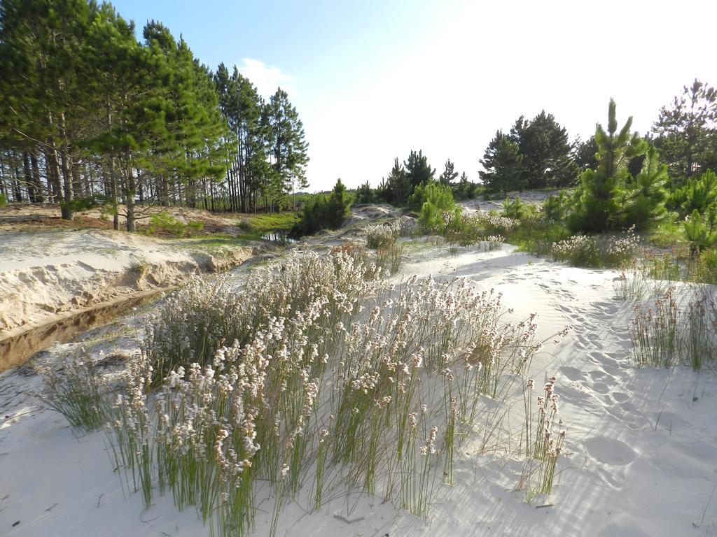 Aldeia Santuario Das Aves Tavares 외부 사진